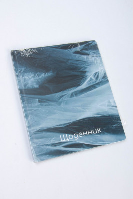 Щоденник шкільний, 165х210 мм, 48 аркушів